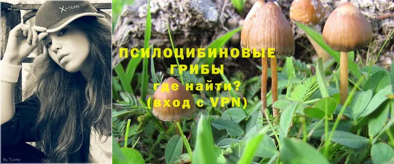 KRAKEN ссылка  Нариманов  Галлюциногенные грибы Cubensis 